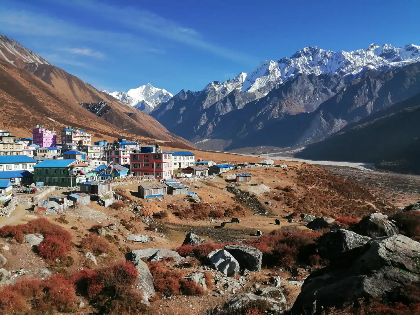 Langtang Valley Trek Difficulty