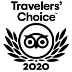 Traveler Choice award 2020